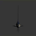 Sailfish With Blue And Yellow Body Large Dorsal Fin And Pointed Bill