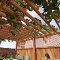 Wooden Pergola With Green Vines Grapes Outdoor Relaxing Seating And Terracotta Tiles