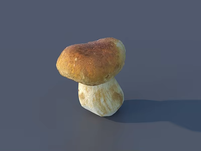 Fresh Natural Edible Mushroom Showing Brown Cap And White Stem 3d model