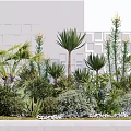 Lush Courtyard Garden Design With Palm Trees Shrubs And Modern Building Background