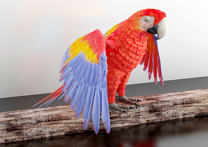 Modern parrot 3d model