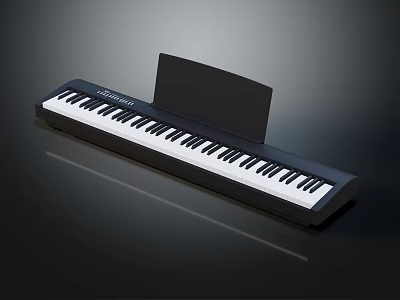 CASIO Electronic Keyboard With Black Body White Keys And Music Stand 3d model