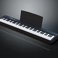 CASIO Electronic Keyboard With Black Body White Keys And Music Stand