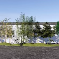 Bamboo Plants Growing Along White Wall With Gray Stone And Green Grass