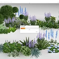 Elegant Flower Stand Displaying Various Green Plants Purple And Blue Flowers