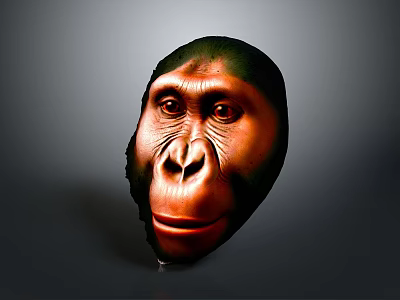 Ancient Hominid Head Model With Detailed Facial Features And Scientific Reconstruction 3d model
