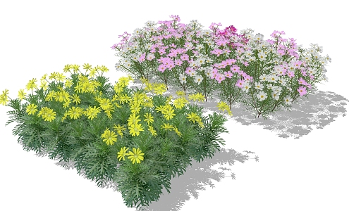 Modern Chrysanthemum Golden Chrysanthemum Wood Spring Chrysanthemum Cosmos Flower Shrub 3d model