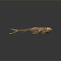 Aquatic Animal Golden Skeleton With Fins And Tail In Reflective Background