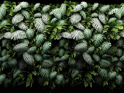 Living Plant Wall with Lush Green Foliage and Diverse Leaf Patterns for Natural Indoor Decoration 3d model