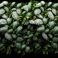 Living Plant Wall with Lush Green Foliage and Diverse Leaf Patterns for Natural Indoor Decoration