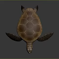 Brown Sea Turtle With Detailed Textured Shell And Lifelike Natural Appearance