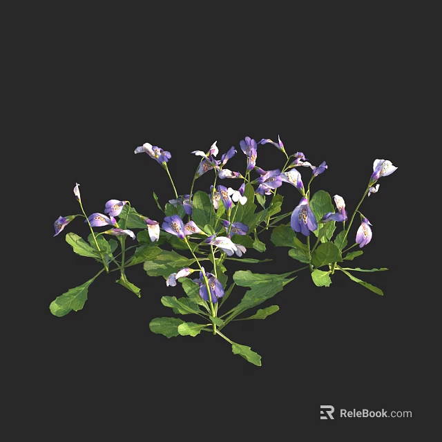 Vibrant Purple And White Flowers With Fresh Green Leaves In Full Bloom 3d model 