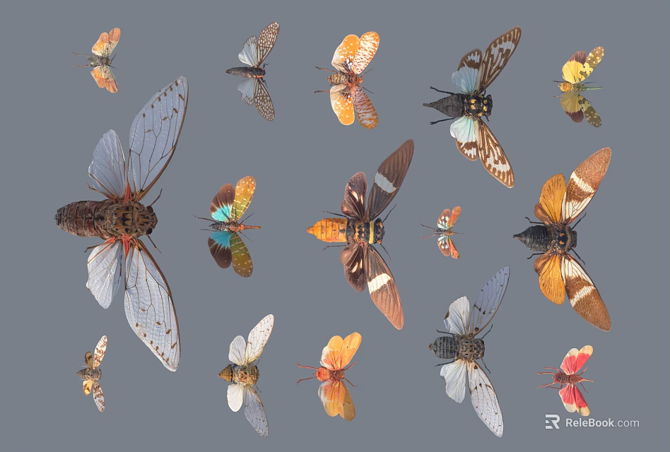 Colorful Flying Insects Collection Featuring Butterflies Cicadas And Moths On Gray Background 3d model 