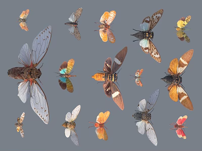 Colorful Flying Insects Collection Featuring Butterflies Cicadas And Moths On Gray Background 3d model