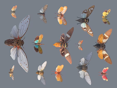 Colorful Flying Insects Collection Featuring Butterflies Cicadas And Moths On Gray Background 3d model