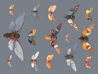 Modern animals only cicadas 3d model