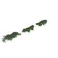 Lush Green Foliage Clusters With Dense Leaves For Garden Landscaping