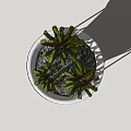 Modern Potted Plant With Green Pointed Leaves In White Conical Pot And Blue Metal Frame