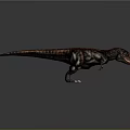 Tyrannosaurus Rex Dinosaur Model With Detailed Skin Texture And Red Brown Color On Gray Background