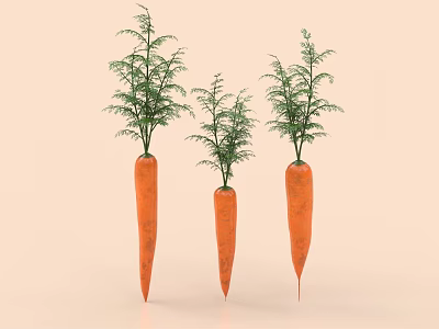 Three Fresh Orange Carrots With Green Leaves On Light Background 3d model
