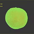 Ripe Bright Orange Fruit With Smooth Shiny Skin On Dark Surface