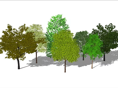 Various Tree Types With Different Green Foliage in Garden Landscape 3d model