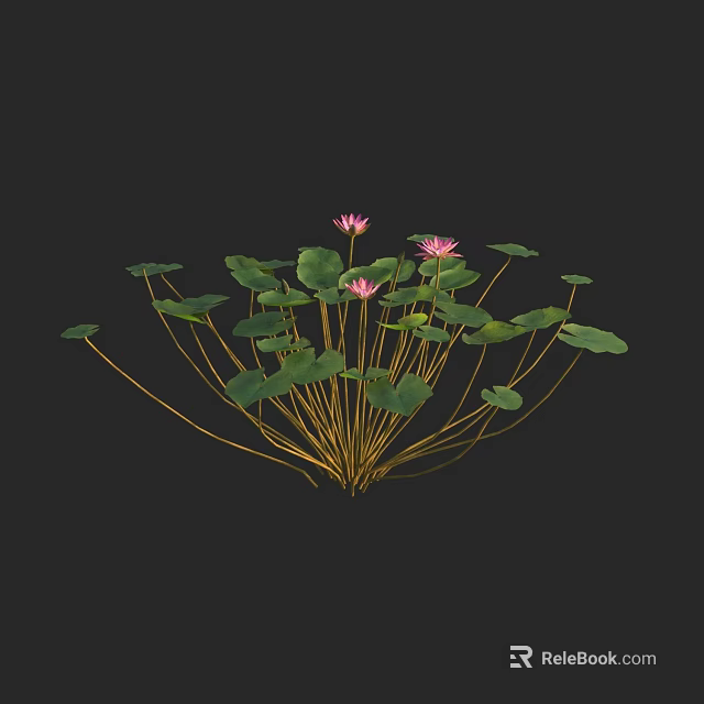 Blooming Pink Lotus Flowers With Green Lily Pads And Long Stems 3d model 