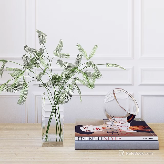 Elegant Decorative Ornament Set With Green Ferns Clear Glass Vase And Magazine On Wooden Tabletop 3d model 