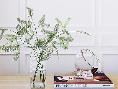Elegant Decorative Ornament Set With Green Ferns Clear Glass Vase And Magazine On Wooden Tabletop 3d model