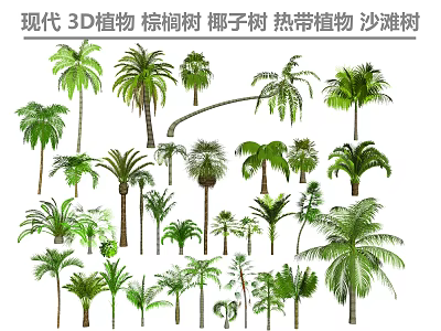 Modern 3D Tropical Palm And Coconut Trees As Beach Landscaping Plants 3d model