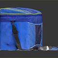 Blue And Yellow Insulated Cooler Bag With Mesh Pocket And Detachable Shoulder Strap