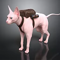 Pink Sphynx Cat Wearing Brown Backpack With Black Flashlight Accessory