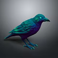 3D Rendered Teal Purple Crow With Shiny Feathers On Gray Minimal Background