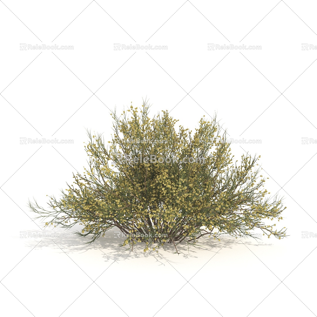 shrubs flowers plants green plants flowers 3d model