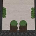 Symmetrical Potted Plants In Square Pots With Wall Lamps Gray Wall Black Strips Marble Floor
