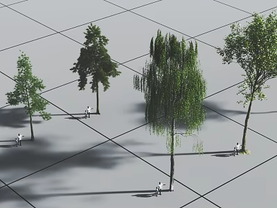 Plant Tree Combination Pine Birch Tall Tree 3d model
