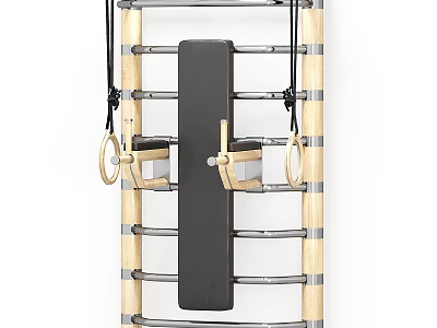 Wall Mounted Fitness Training Equipment With Wooden Frame Metal Bars Gym Rings And Black Pad 3d model