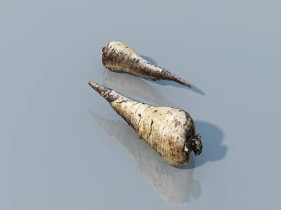 Fresh Conical Root Vegetables With Soil Texture On Light Blue Background And Reflection 3d model