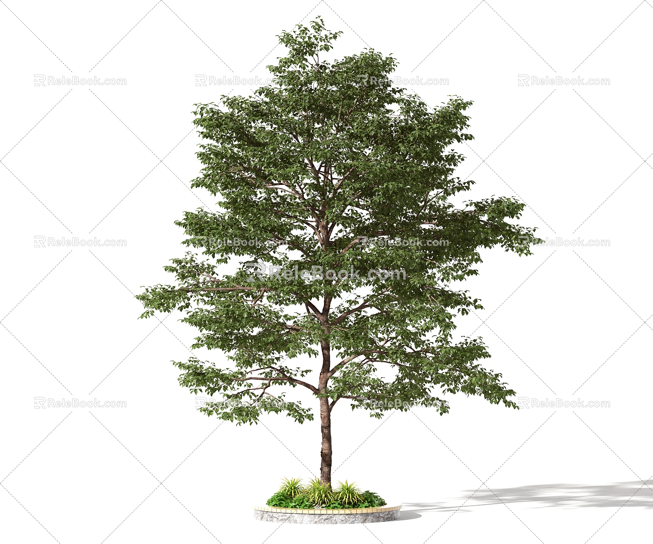 Modern Trees Trees Shrubs Trees Landscape Trees Small Trees 3d model