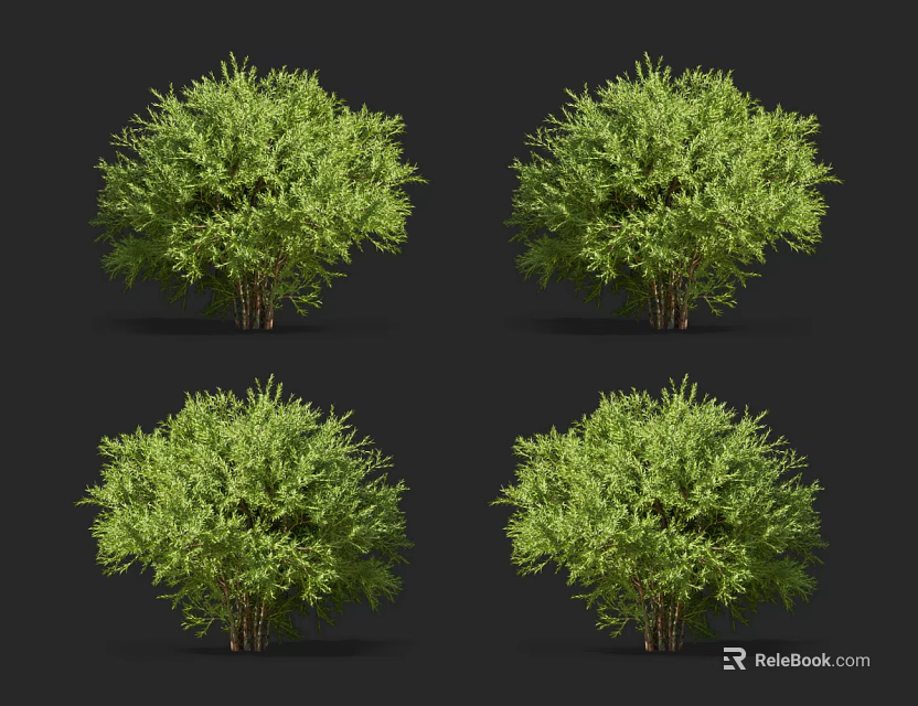 Four Green Shrubs With Lush Foliage In 3D Rendering Against Black Background 3d model 