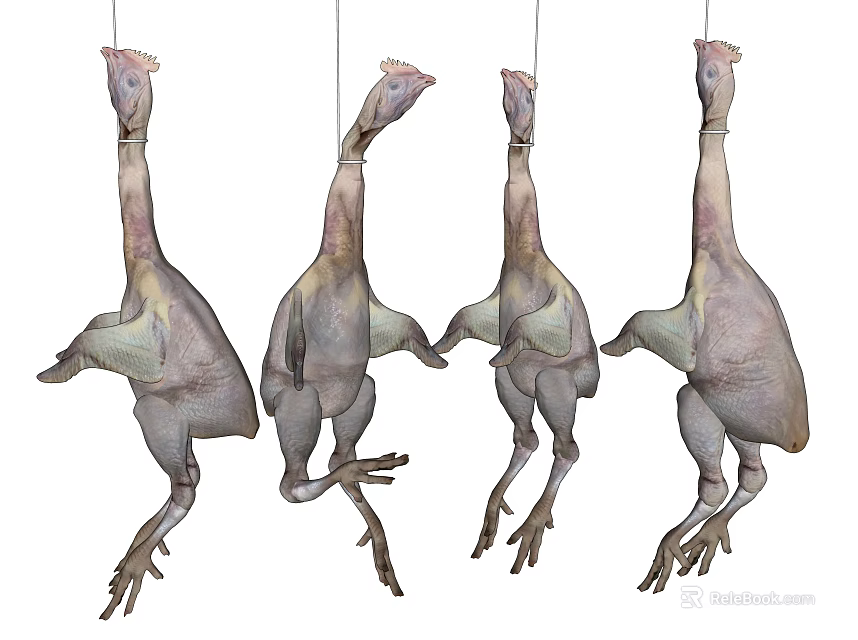 Four Fresh Raw Chickens Hanging in Butchery Shop Display for Sale 3d model 