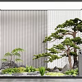 Japanese Style Courtyard Garden With Pine Tree Stones And Striped Grid Wall Design