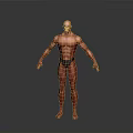 Muscular Man 3D Model with Well Defined Physique in Standing Pose
