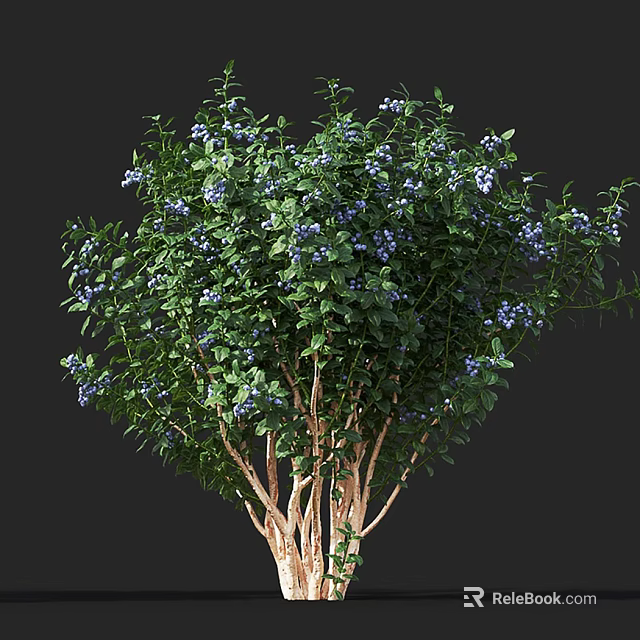 Lush Arbor With Green Leaves Blue Blossoms And Light Colored Trunks 3d model 