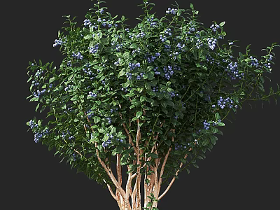 Lush Arbor With Green Leaves Blue Blossoms And Light Colored Trunks 3d model