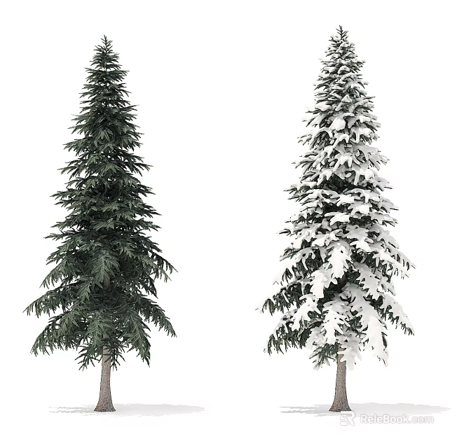 Two Evergreen Trees Green and Snow Covered in Winter Outdoor Landscape 3d model 