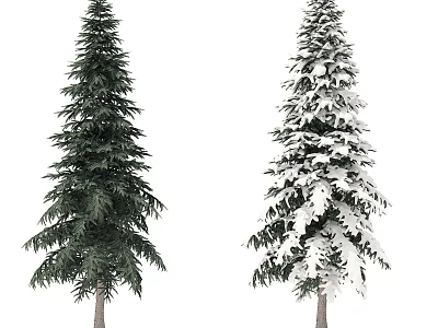 Two Evergreen Trees Green and Snow Covered in Winter Outdoor Landscape 3d model