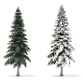 Modern Tree Pine 3d model