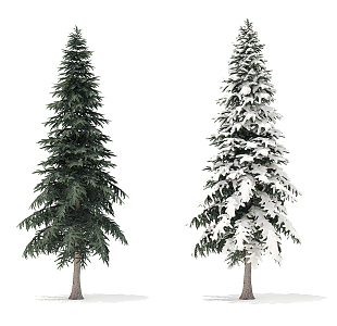 Modern Tree Pine 3d model