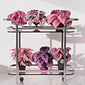 Colorful Potted Plants on Two Tier Metal Trolley with Wheels and Pink Purple Leaves
